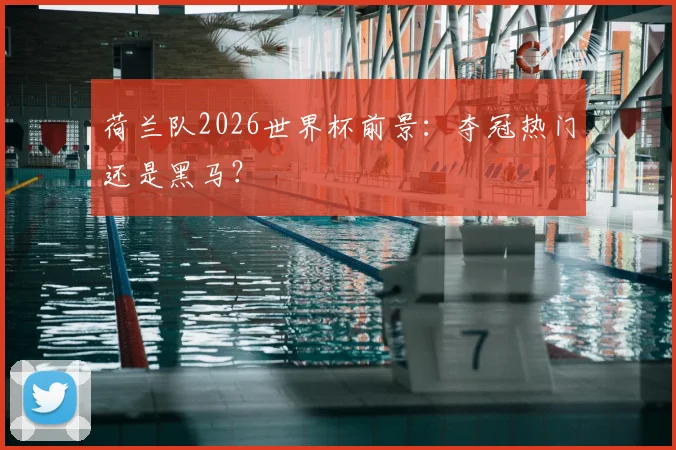 荷兰队2026世界杯前景:夺冠热门还是黑马?
