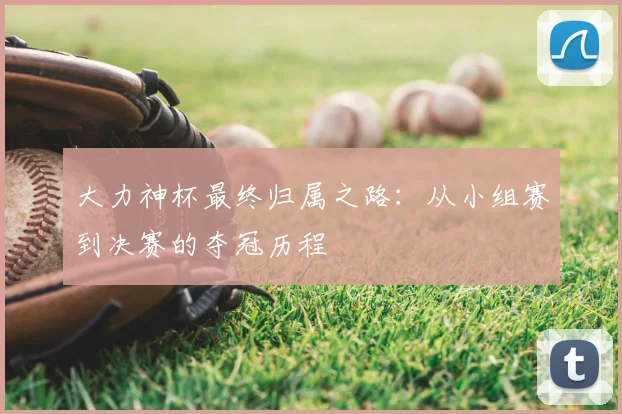 大力神杯最终归属之路:从小组赛到决赛的夺冠历程